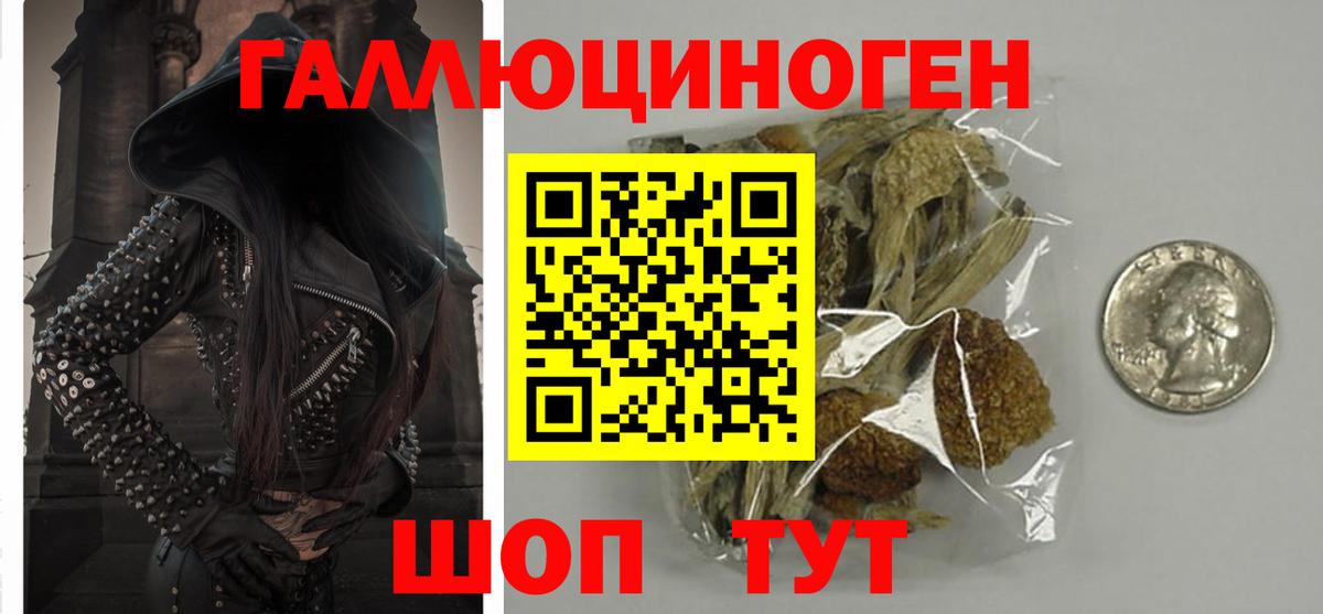Клинцы  Галлюциногенные грибы Psilocybe  Вход с VPN 