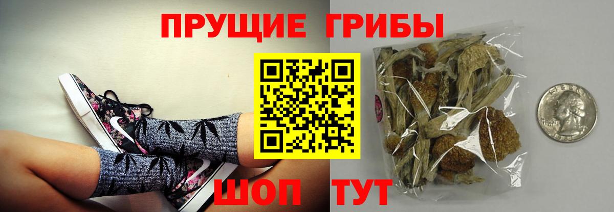 Галлюциногенные грибы Cubensis Клинцы